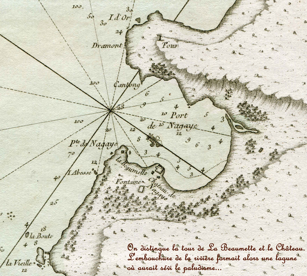 gros-plan 1784